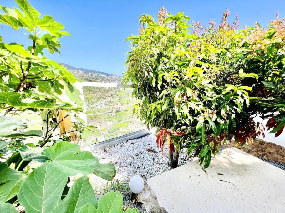 פונטה דו סול Mar A Vista By Your Madeira Rentals מראה חיצוני תמונה